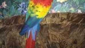 Kolik let žije živý parrot ara doma